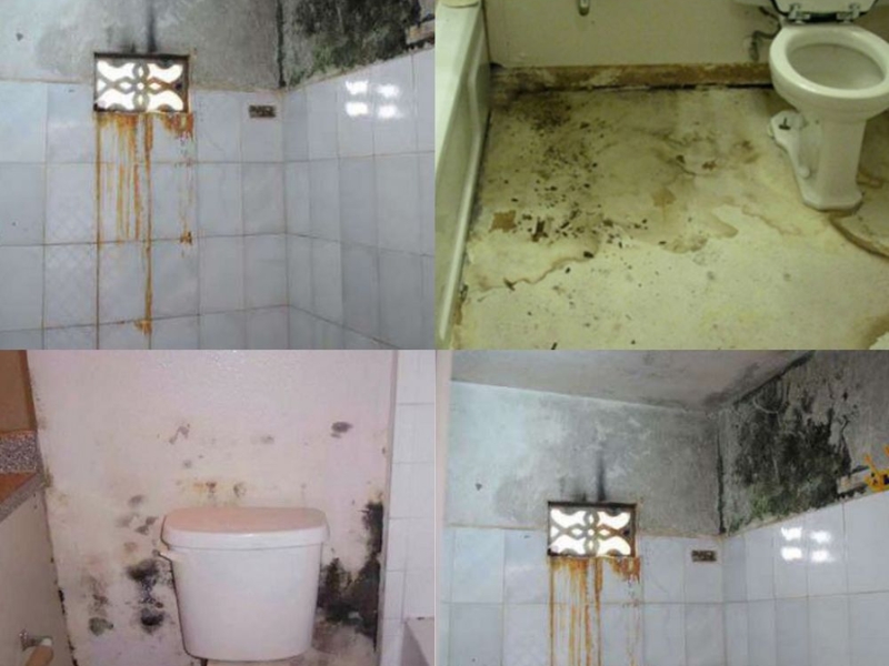 Cần tiến hành sửa chữa nếu nhà vệ sinh gặp các vấn đề về thiết kế