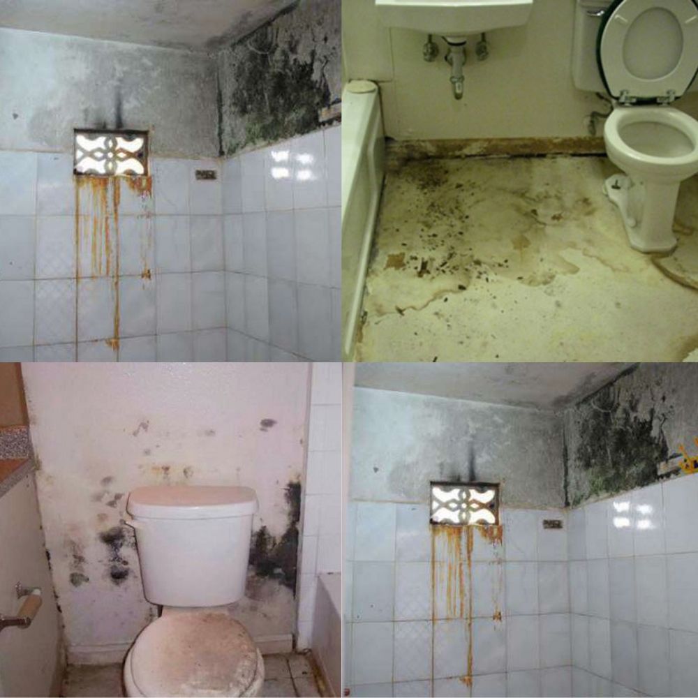Khả năng chống thấm kém của nhà vệ sinh có thể dẫn đến ẩm mốc